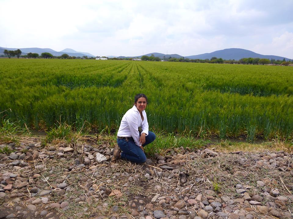 Tierra de Monte, Agricultura Libre.