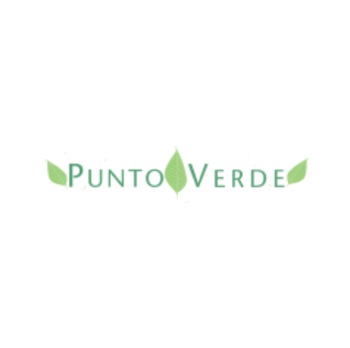 Punto Verde Consultores