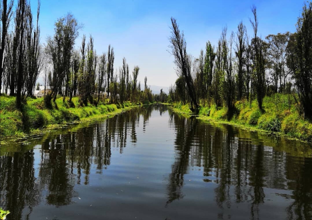 Xochimilco; agricultores chinamperos regenerando su entorno