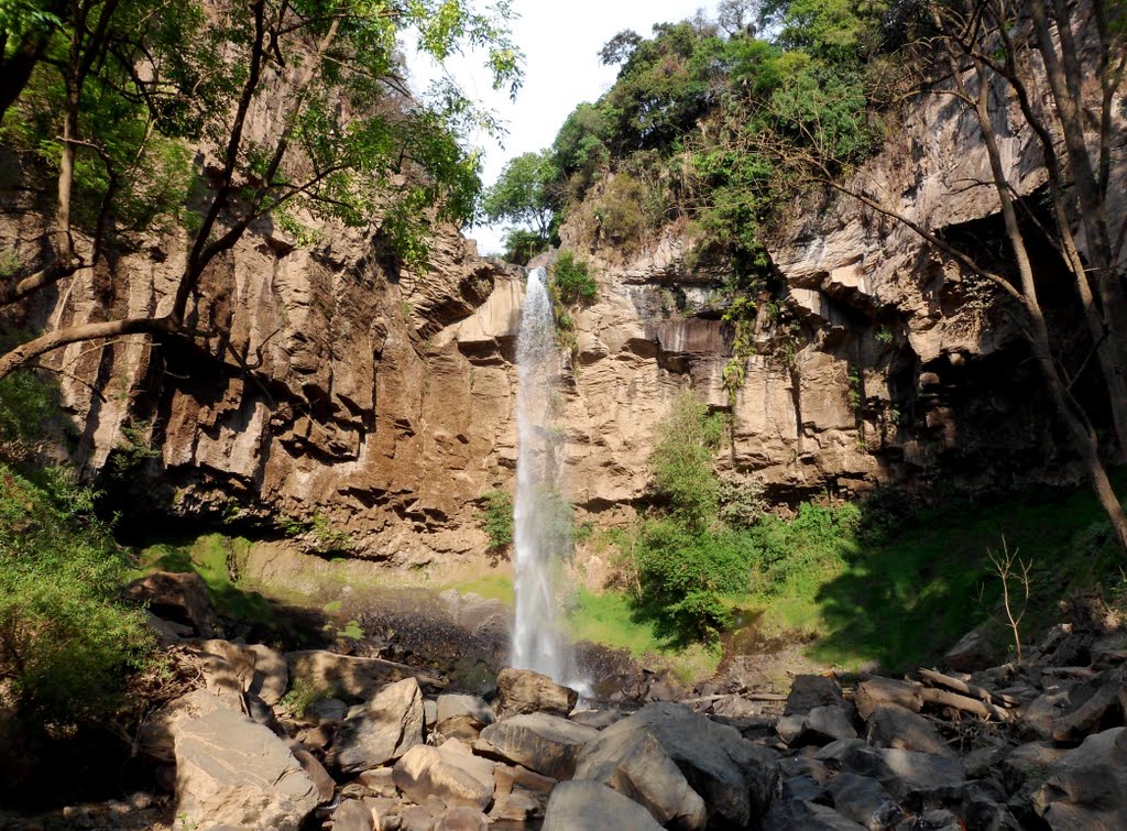Proyecto de regeneración del agua y del lugar: Parque ecoturístico El Salto