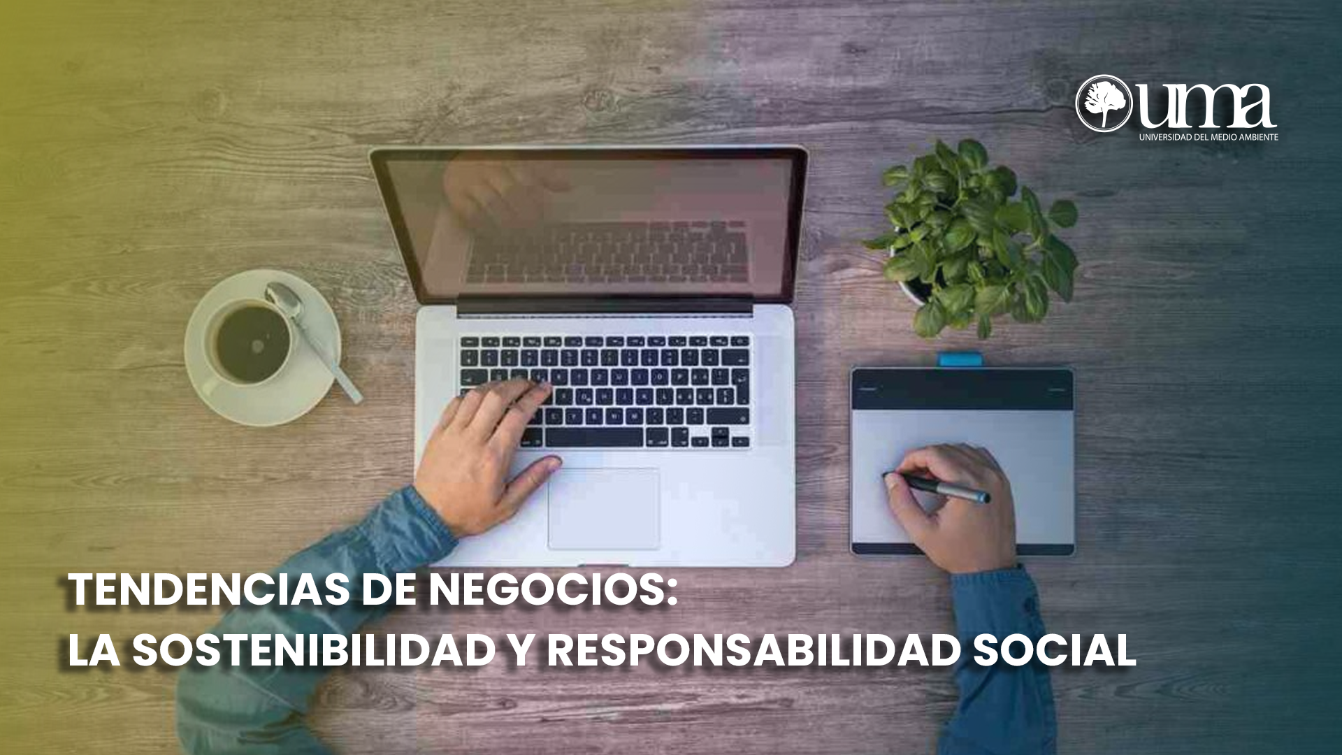 Tendencias de negocios: La sostenibilidad