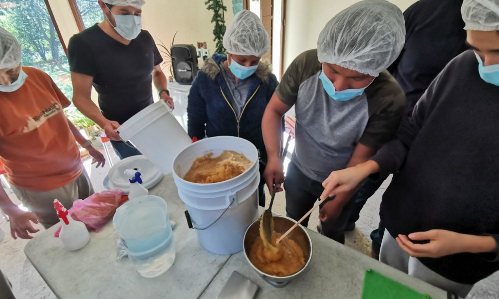 Las API en la meliponicultura