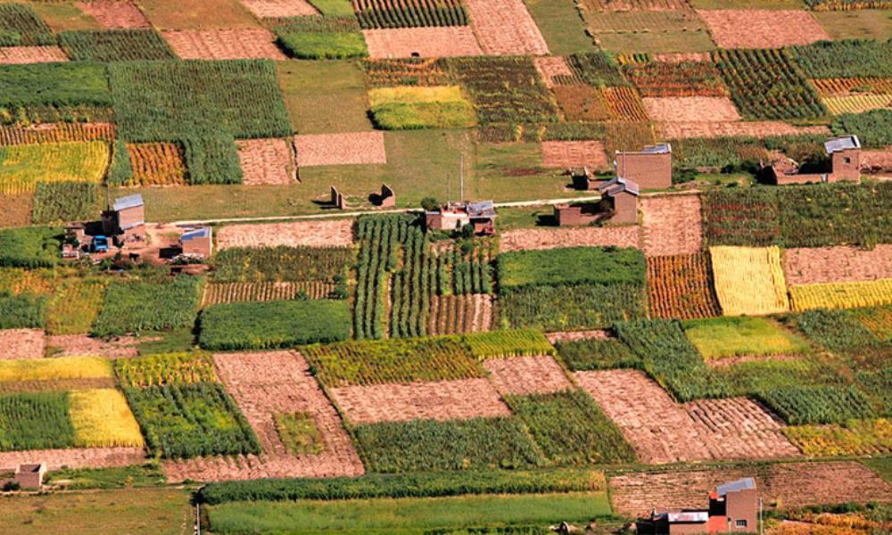 La agricultura en el contexto boliviano