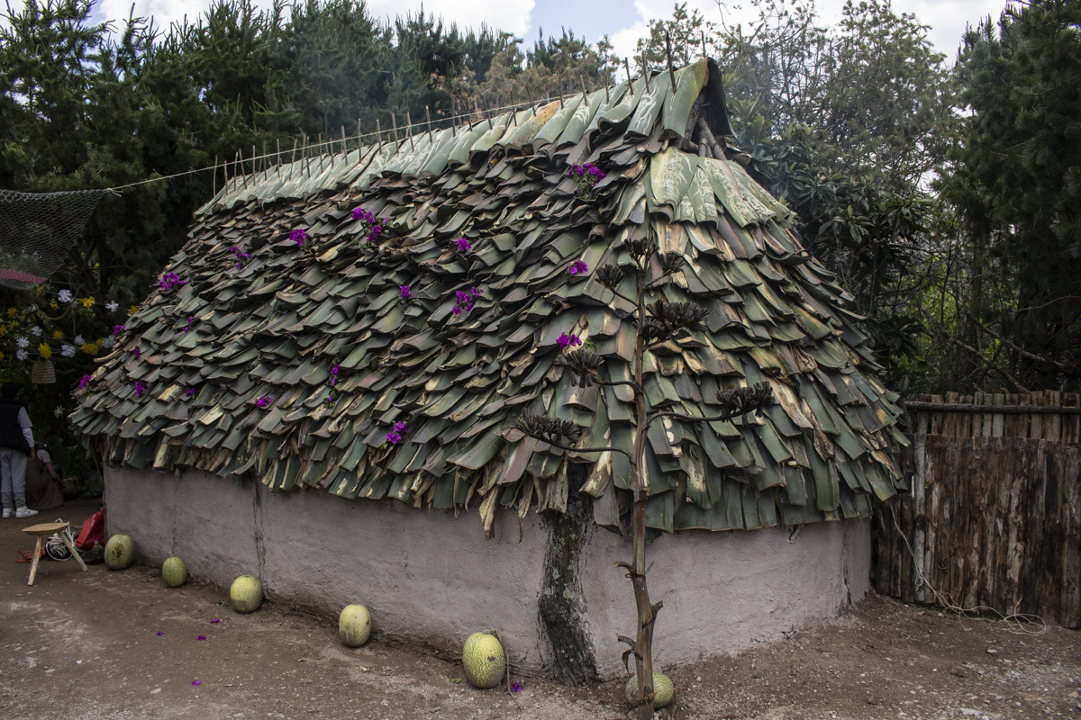 La arquitectura vernácula otomí: Reflexiones críticas y su impacto en el diseño contemporáneo.