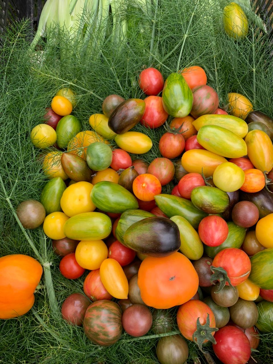Cultivar la tierra y tejer comunidad